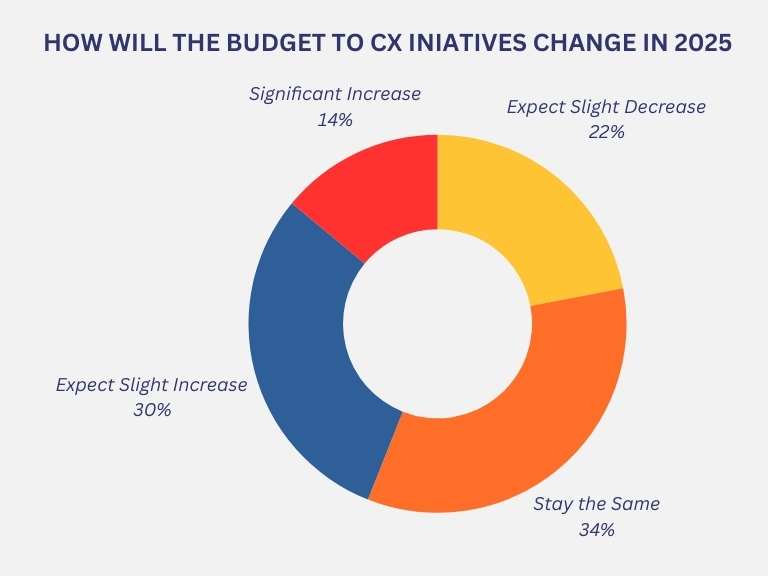 How will budget to CX initiatives change in 2025