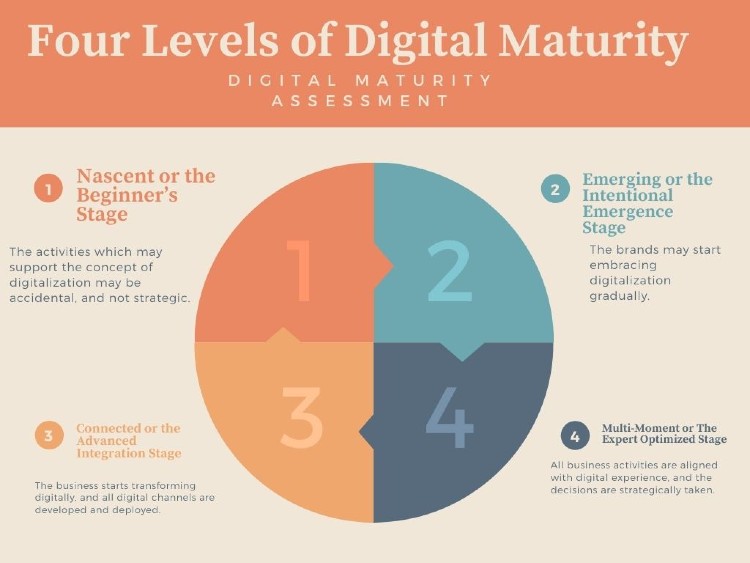 There are four levels of digital maturity, based on which the firms can assess where they are. 