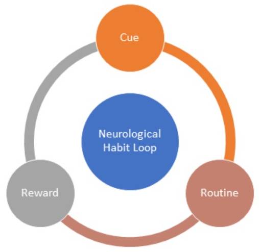 This is the neurological habit hoop that binds a user in the circle of cue, routine and reward. 