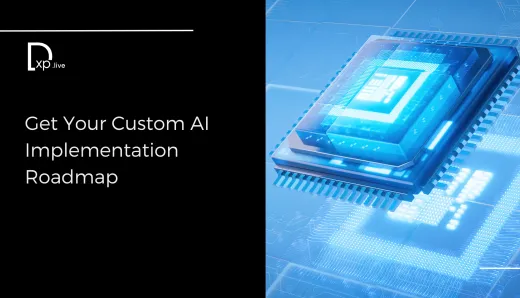 Get Your Custom AI Implementation Roadmap